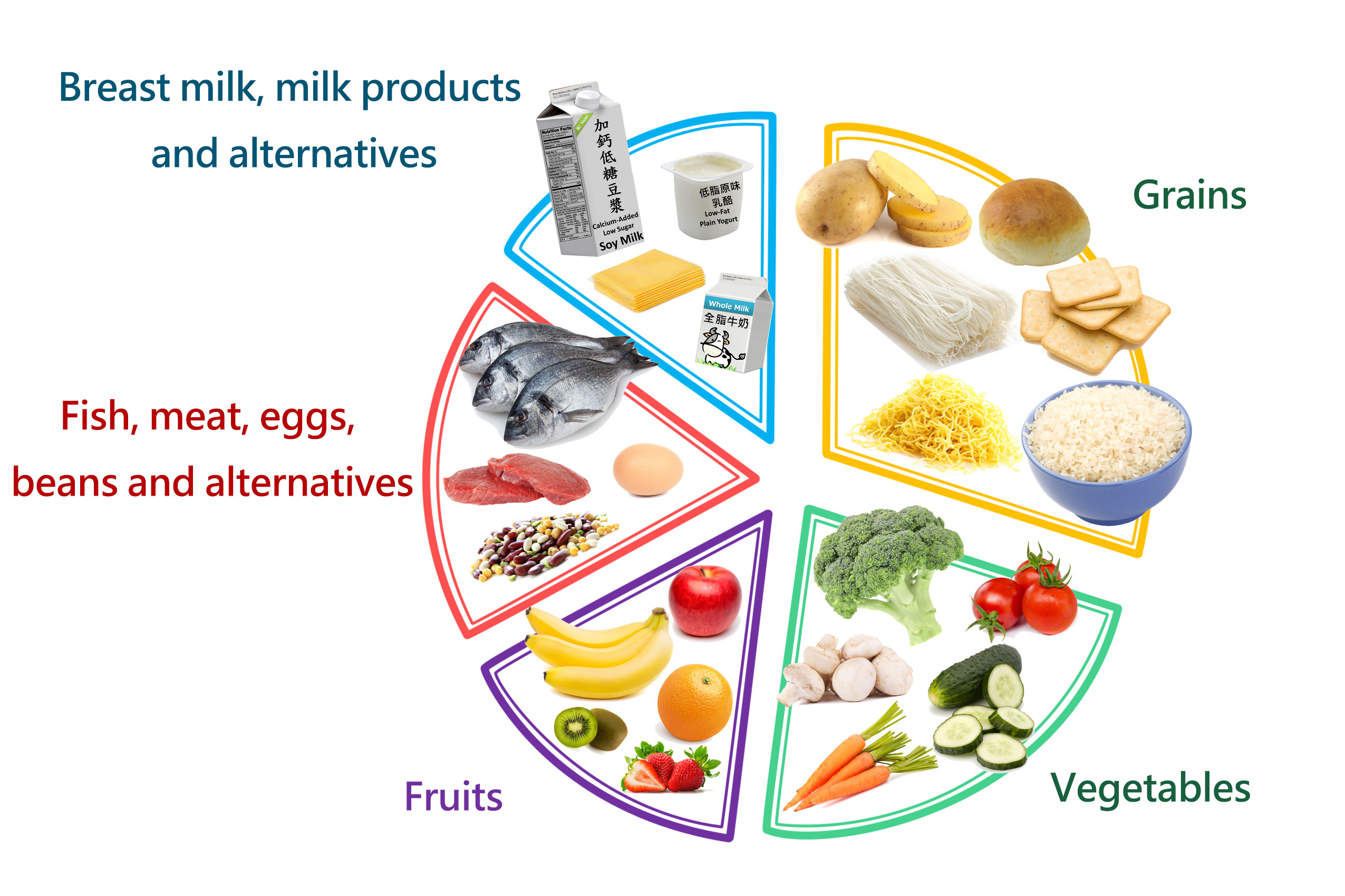 Balanced diet includes grains, vegetables, fruits, fish, meat, eggs, beans and alternatives and breast milk, milk products and alternatives Balanced diet includes grains, vegetables, fruits, fish, meat, eggs, beans and alternatives and breast milk, milk products and alternatives