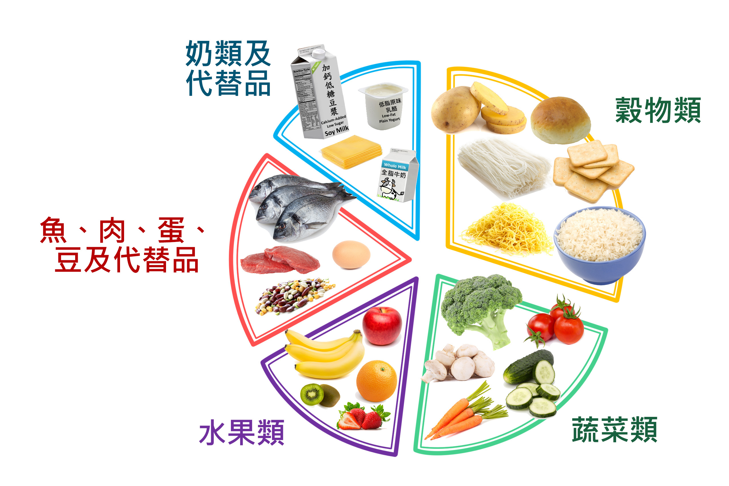 孩子一天的餐單，包括穀物類、蔬菜類、水果類、魚、肉、蛋、豆及代替品和奶類及代替品